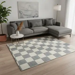 Photo of Ivory Checkered Area Rug
