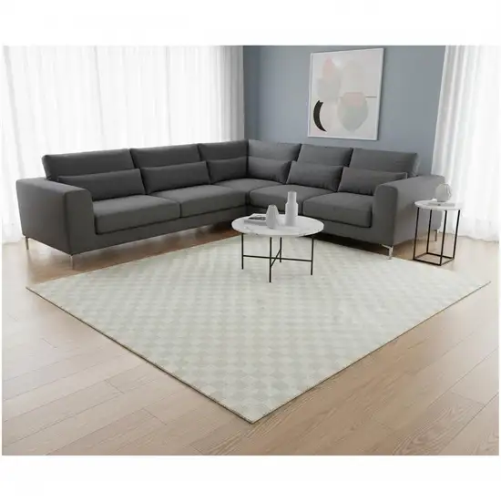 Ivory Checkered Area Rug Photo 1