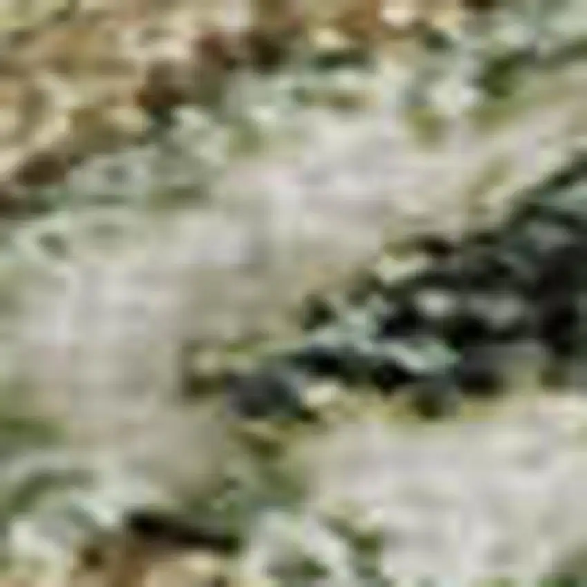 Ivory Fern Green And Beige Floral Washable Area Rug With UV Protection Photo 2