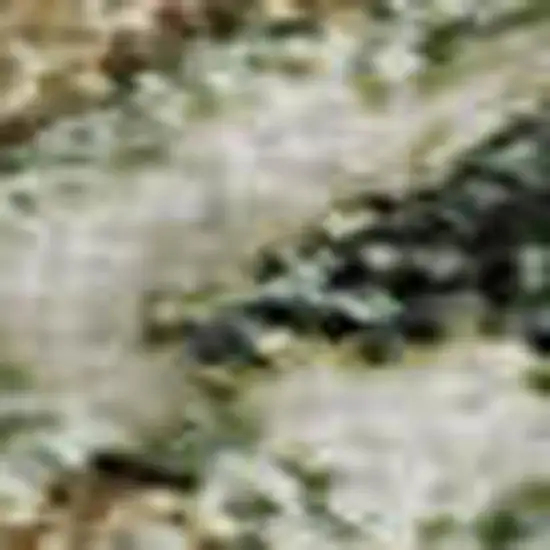 Ivory Fern Green And Beige Floral Washable Area Rug With UV Protection Photo 2