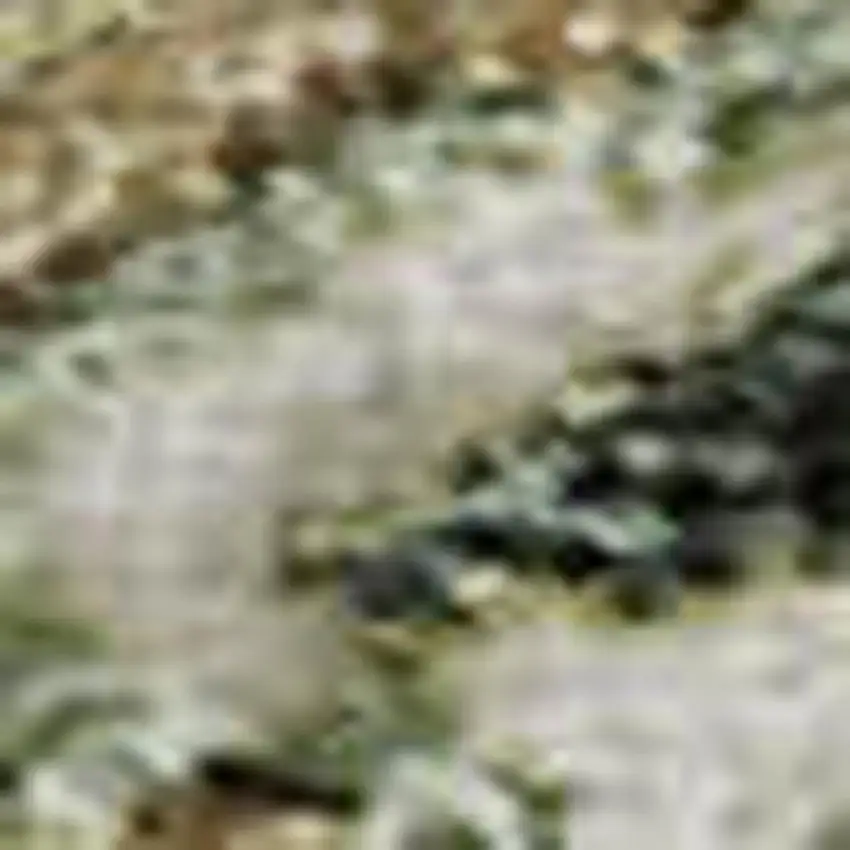 Ivory Fern Green And Beige Floral Washable Area Rug With UV Protection Photo 2