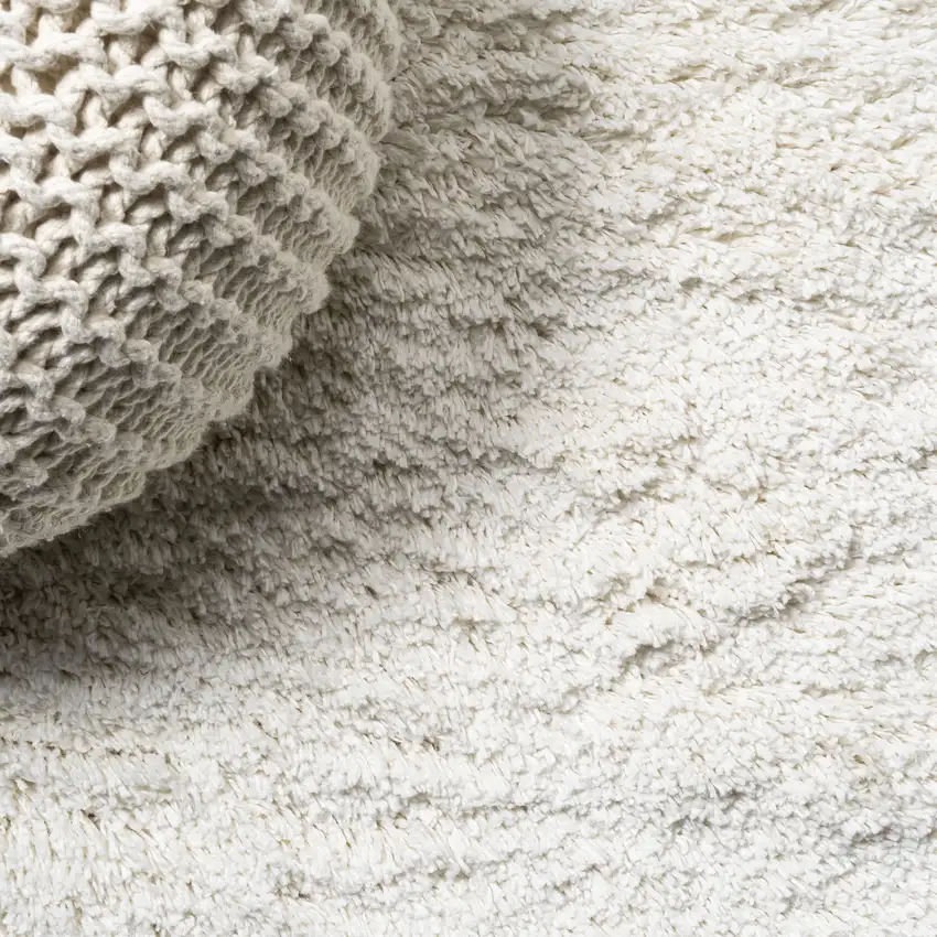 Ivory Flatweave Area Rug Photo 7