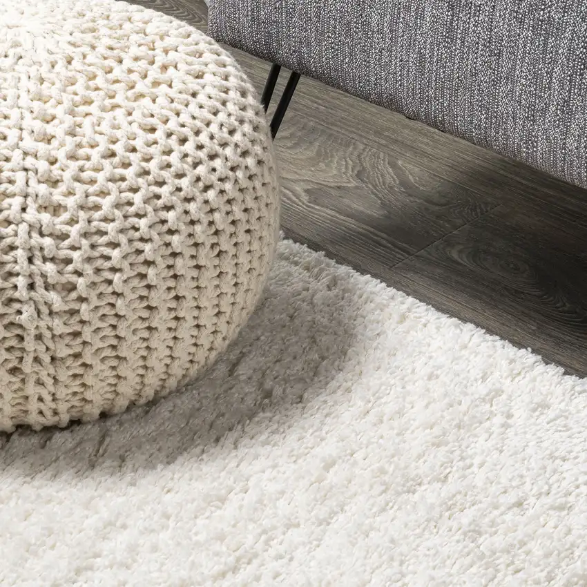 Ivory Flatweave Area Rug Photo 8