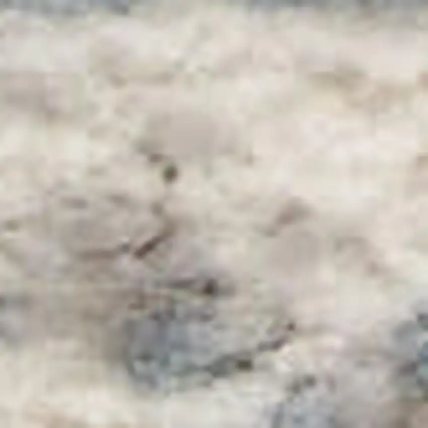 Ivory Floral Area Rug Photo 2