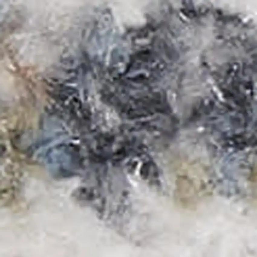 Ivory Floral Distressed Area Rug Photo 3