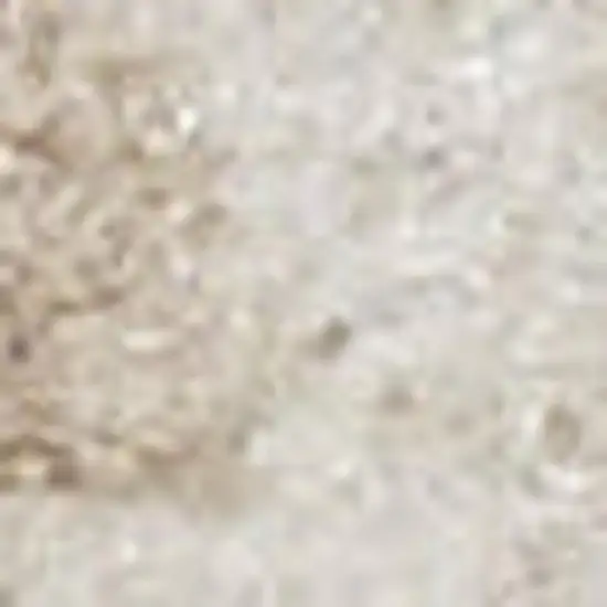 Ivory Floral Distressed Area Rug Photo 3