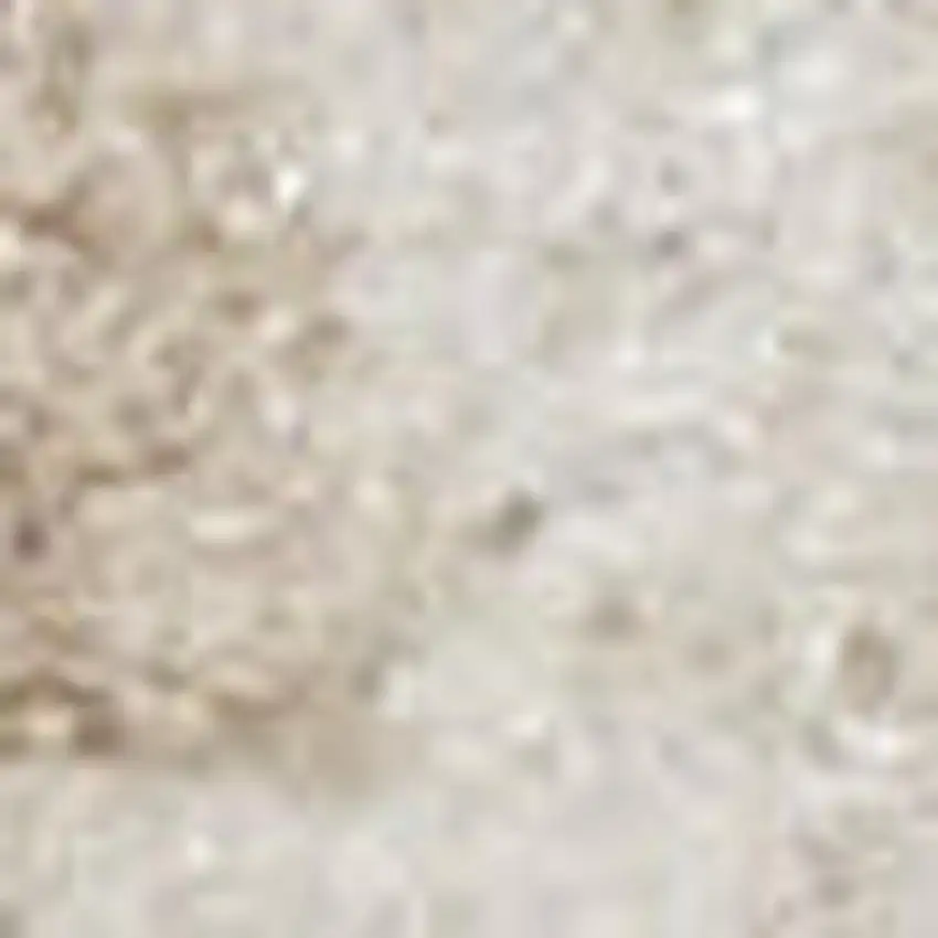 Ivory Floral Distressed Area Rug Photo 3