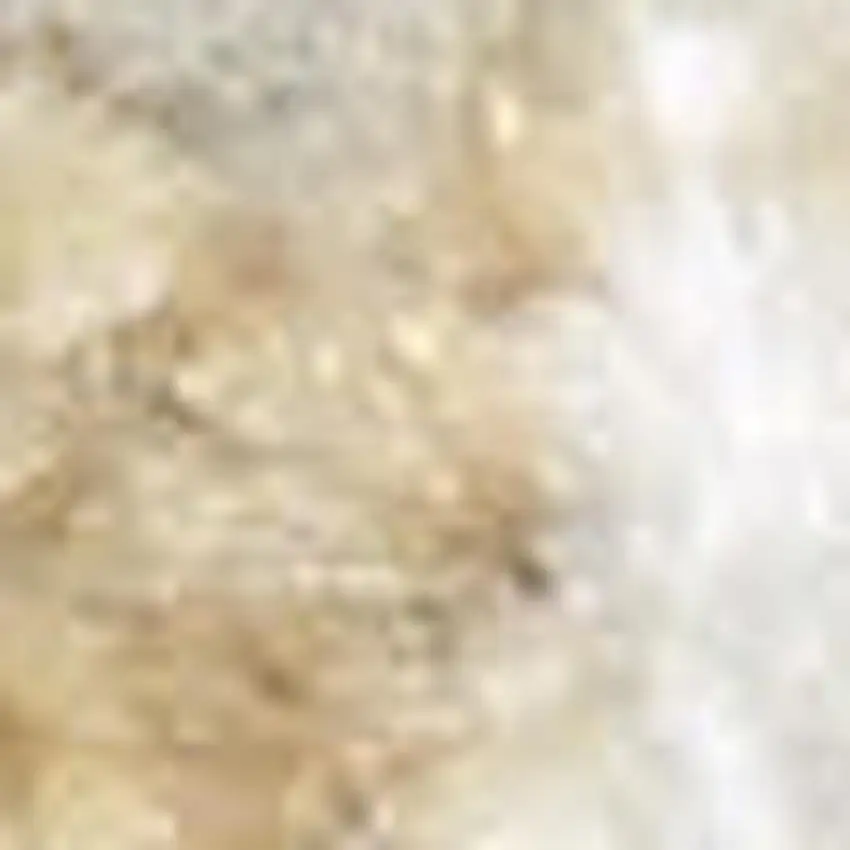 Ivory Floral Distressed Area Rug Photo 3