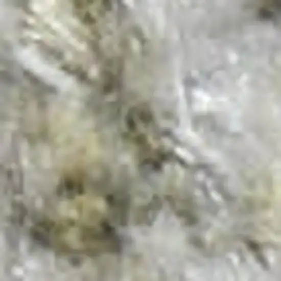 Ivory Floral Distressed Area Rug Photo 3