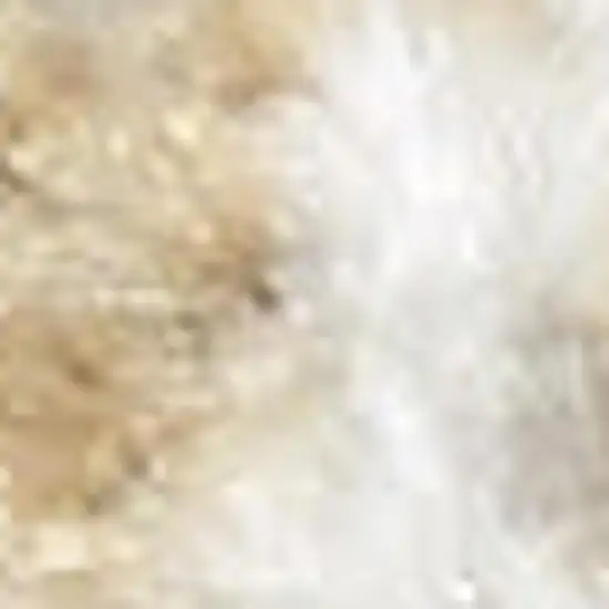 Ivory Floral Distressed Area Rug Photo 3