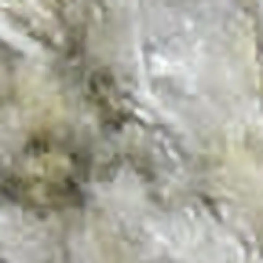 Ivory Floral Distressed Area Rug Photo 3
