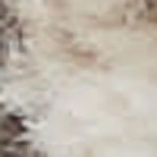 Ivory Floral Power Loom Area Rug Photo 3