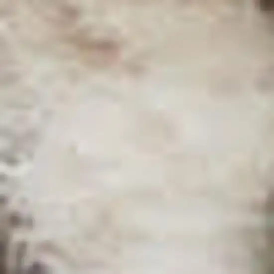 Ivory Floral Power Loom Area Rug Photo 1