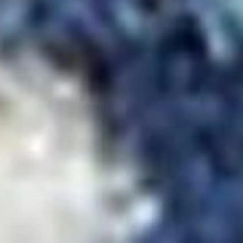 Ivory Floral Power Loom Area Rug Photo 3