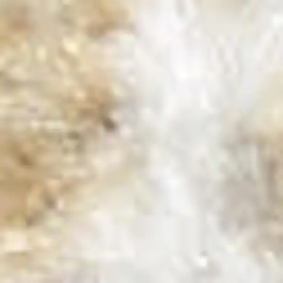 Ivory Floral Power Loom Worn Faded Area Rug Photo 3