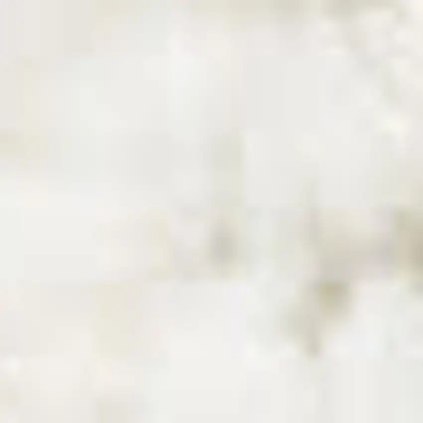 Ivory Geometric Area Rug Photo 2