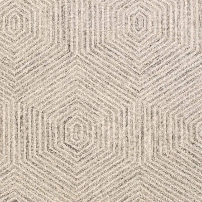 Ivory Geometric Hexagon Wool Indoor Area Rug Photo 5