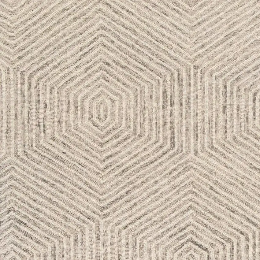 Ivory Geometric Hexagon Wool Indoor Area Rug Photo 3
