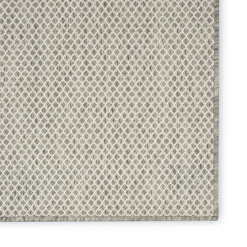 Ivory And Silver Indoor Outdoor Area Rug Photo 4