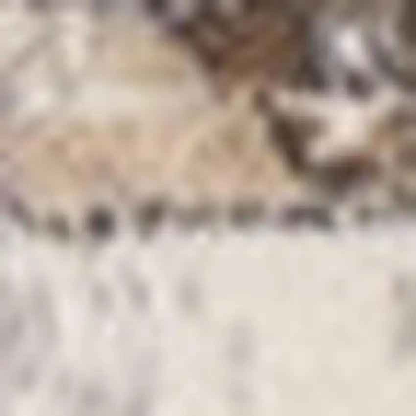 Ivory Gray And Brown Medallion Area Rug Photo 5