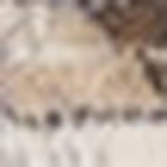 Ivory Gray And Brown Medallion Area Rug Photo 4