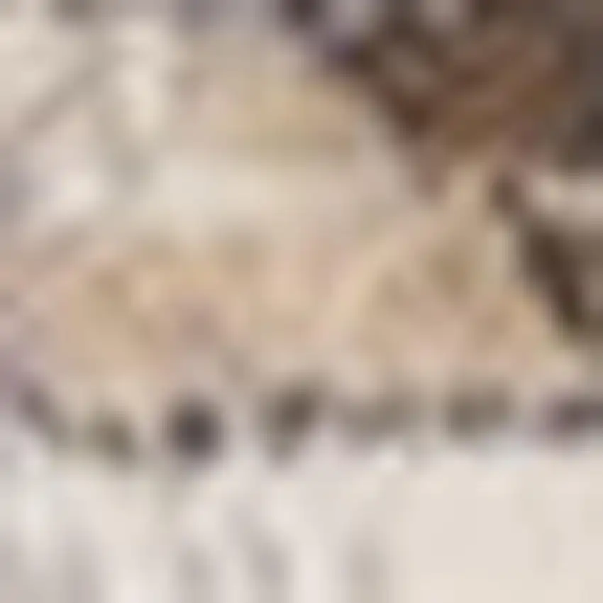 Ivory Gray And Brown Medallion Area Rug Photo 4