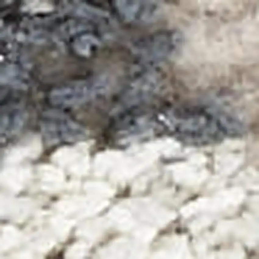 Ivory Gray And Charcoal Floral Distressed Non Skid Area Rug Photo 3