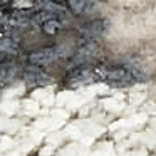 Ivory Gray And Charcoal Floral Distressed Non Skid Area Rug Photo 3