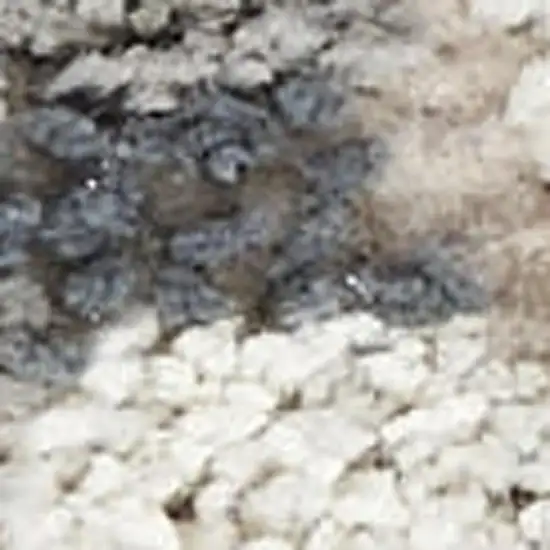 Ivory Gray And Charcoal Floral Distressed Non Skid Area Rug Photo 4