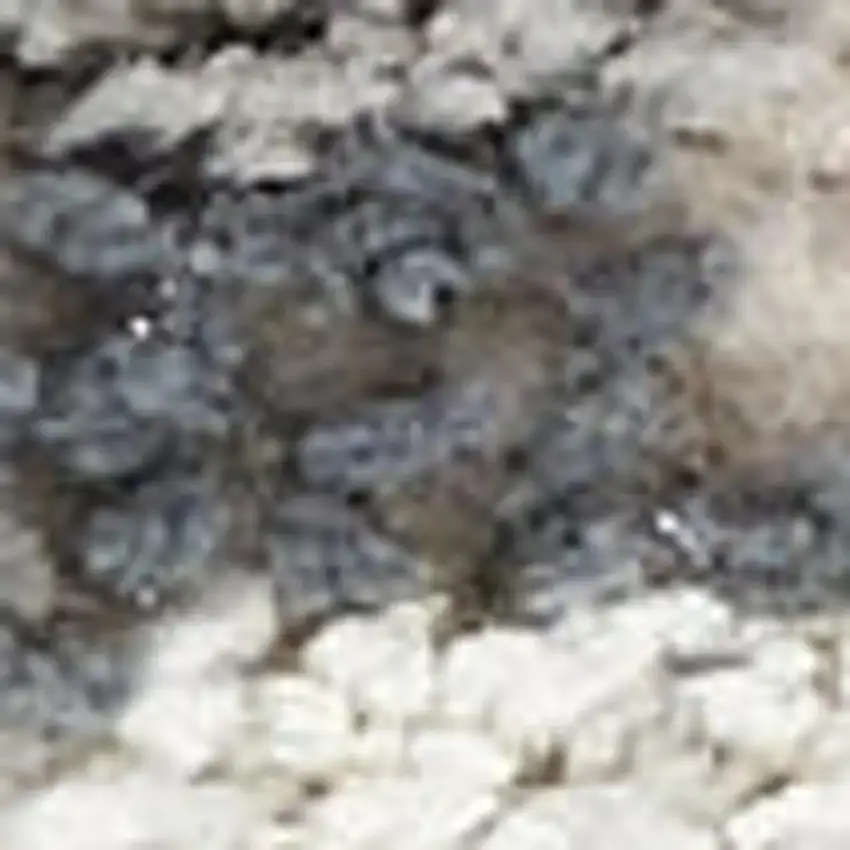 Ivory Gray And Charcoal Floral Distressed Non Skid Area Rug Photo 2