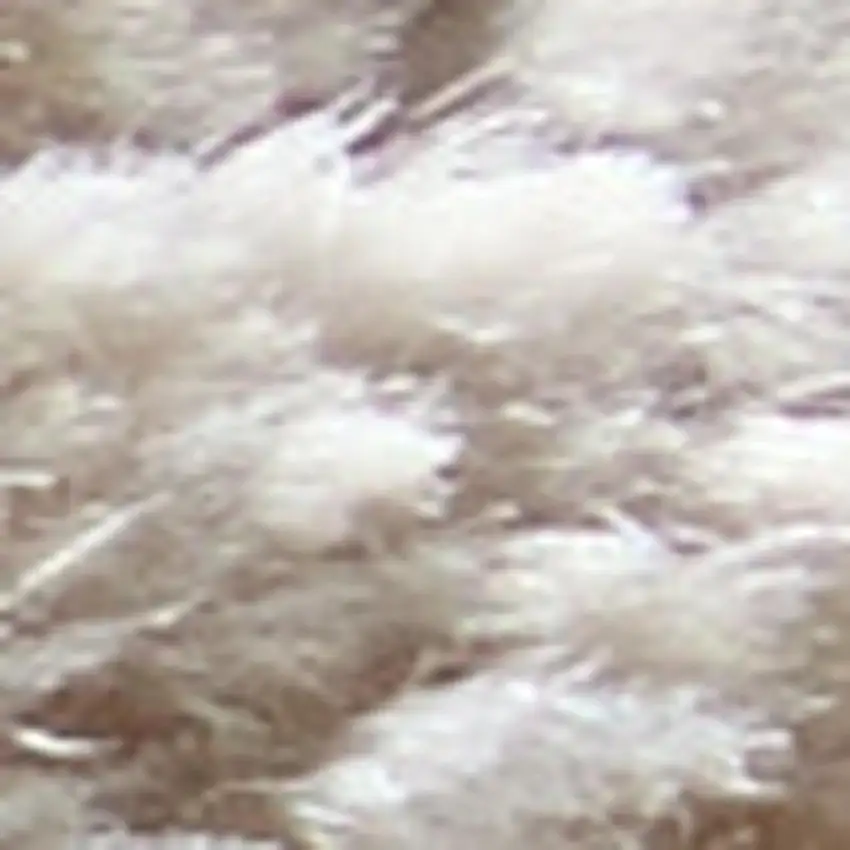 Ivory Gray And Gold Floral Area Rug With Fringe Photo 2