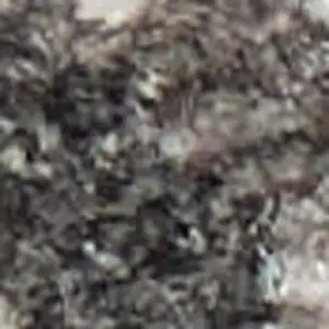 Photo of Ivory Gray And Orange Abstract Area Rug