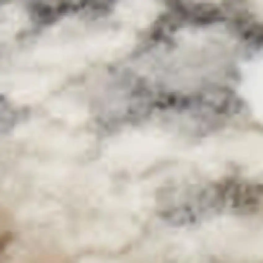 Ivory Gray and Black Abstract Non Skid Area Rug Photo 3