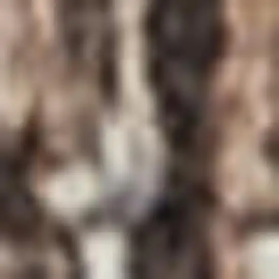 Ivory Gray and Brown Abstract Non Skid Area Rug Photo 3