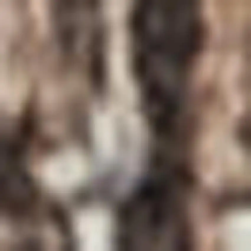 Ivory Gray and Brown Abstract Non Skid Area Rug Photo 3