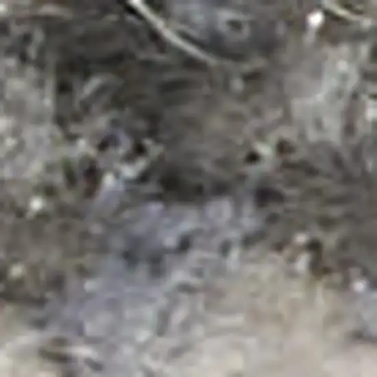 Ivory Gray and Brown Abstract Non Skid Area Rug Photo 5