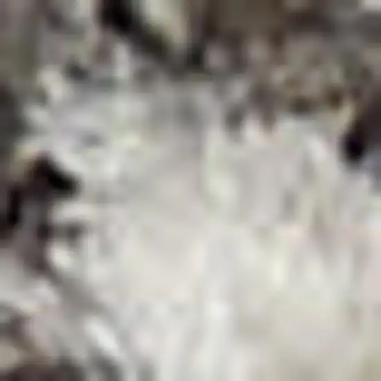 Ivory Gray and Golden Brown Abstract Area Rug Photo 3