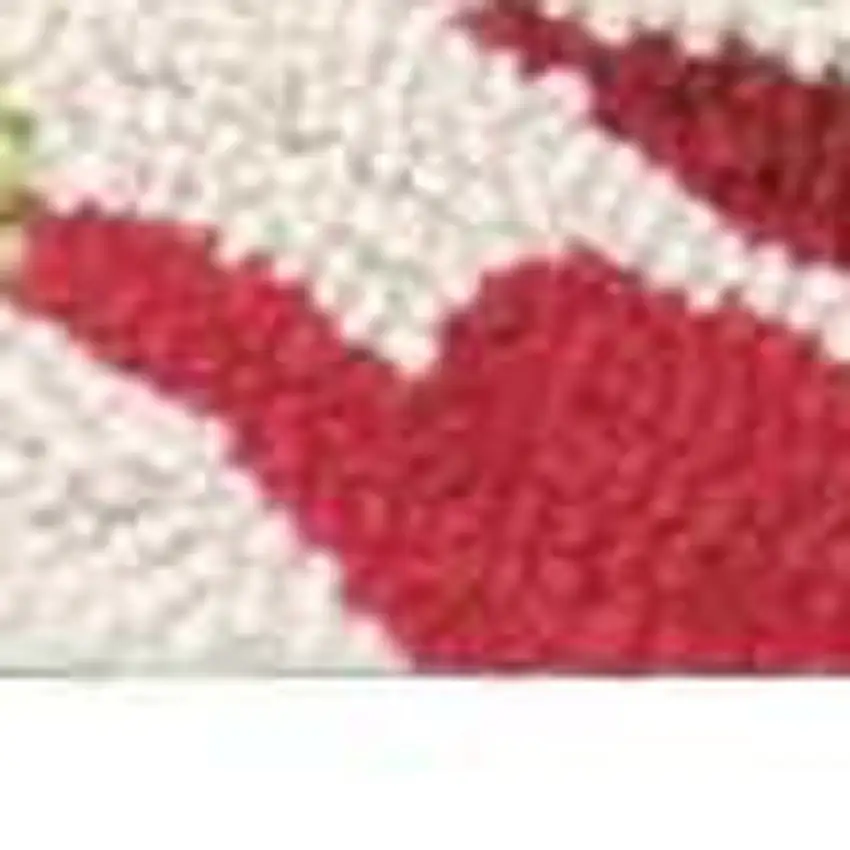 Ivory Green and Red Floral Hand Carved Handmade Area Rug Photo 7