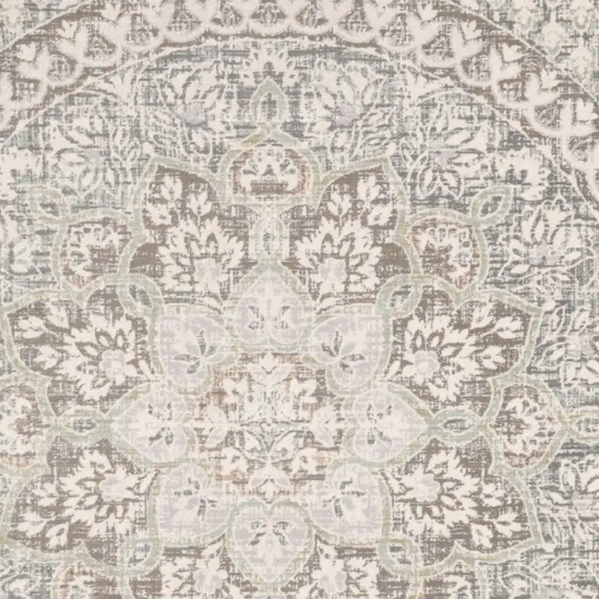 Ivory Grey Distresed Oversize Medallion Indoor Area Rug Photo 4
