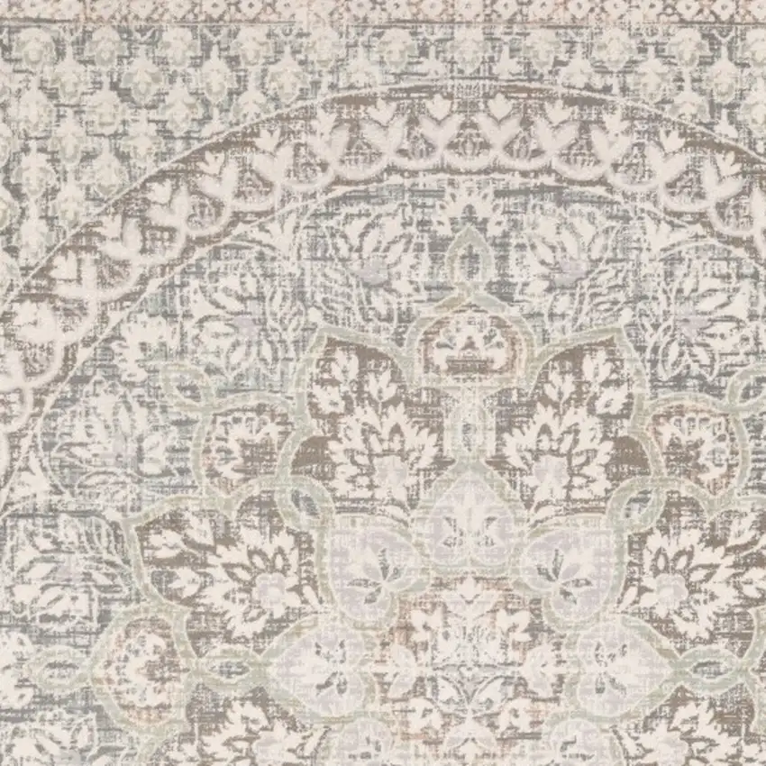Ivory Grey Distresed Oversize Medallion Indoor Area Rug Photo 4