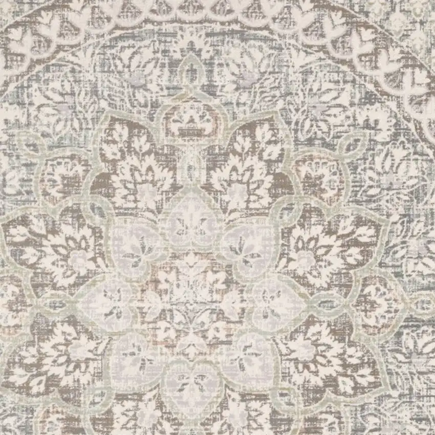 Ivory Grey Distresed Oversize Medallion Indoor Area Rug Photo 4
