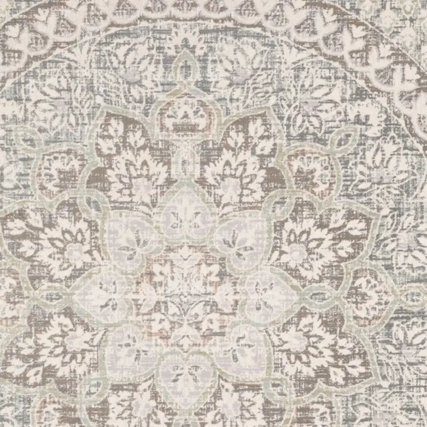 Ivory Grey Distresed Oversize Medallion Indoor Area Rug Photo 4