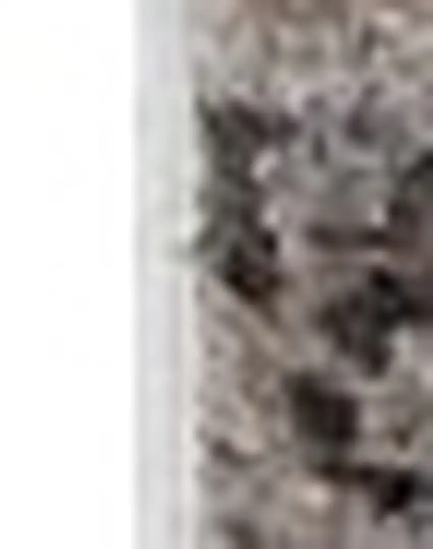 Ivory Grey Machine Woven Abstract Indoor Area Rug Photo 5