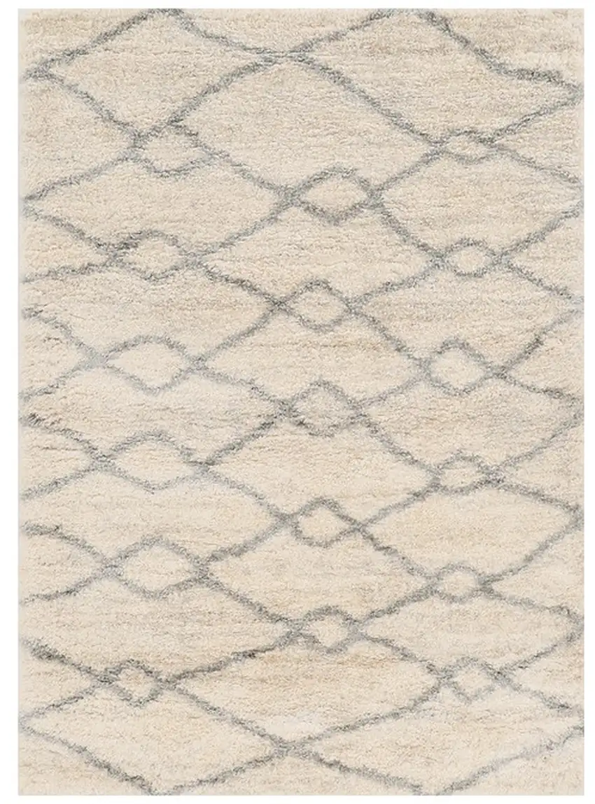4'X6' Ivory Grey Machine Woven Chain Link Indoor Area Rug Photo 2