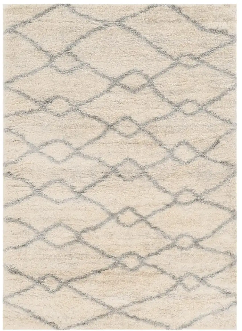 Ivory And Gray Chain Distressed Area Rug Photo 1