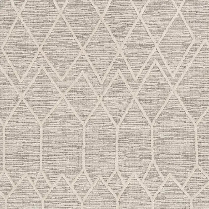 Ivory And Gray Geometric Area Rug With Fringe Photo 4