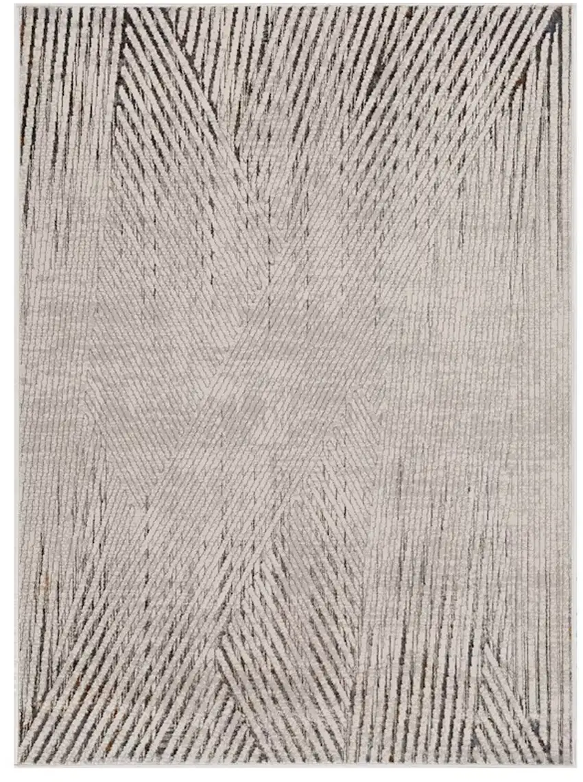 Gray and Ivory Area Rug Photo 2