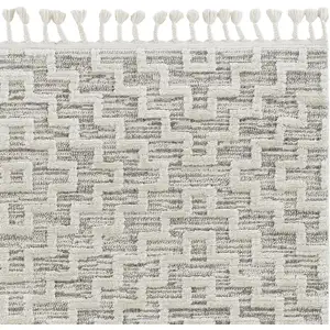 Photo of Ivory Grey Machine Woven Geometric With Fringe Indoor Area Rug