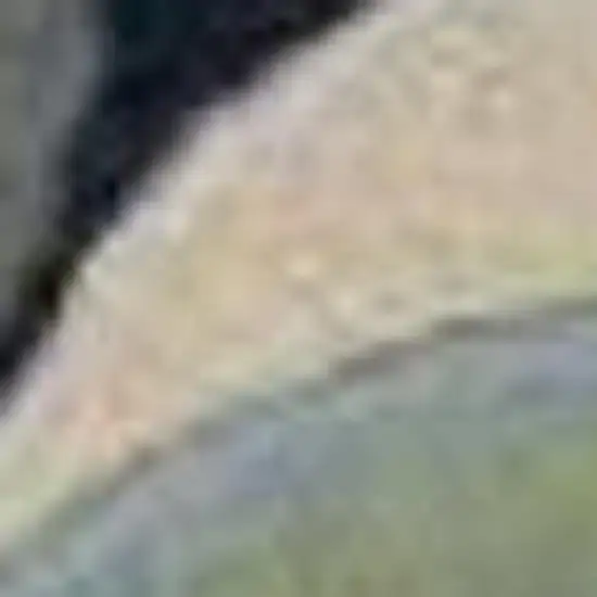 Ivory Blue And Green Wool Tropical Botanical Hand Tufted Area Rug Photo 3