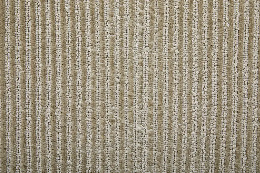 Ivory Hand Woven Area Rug Photo 9